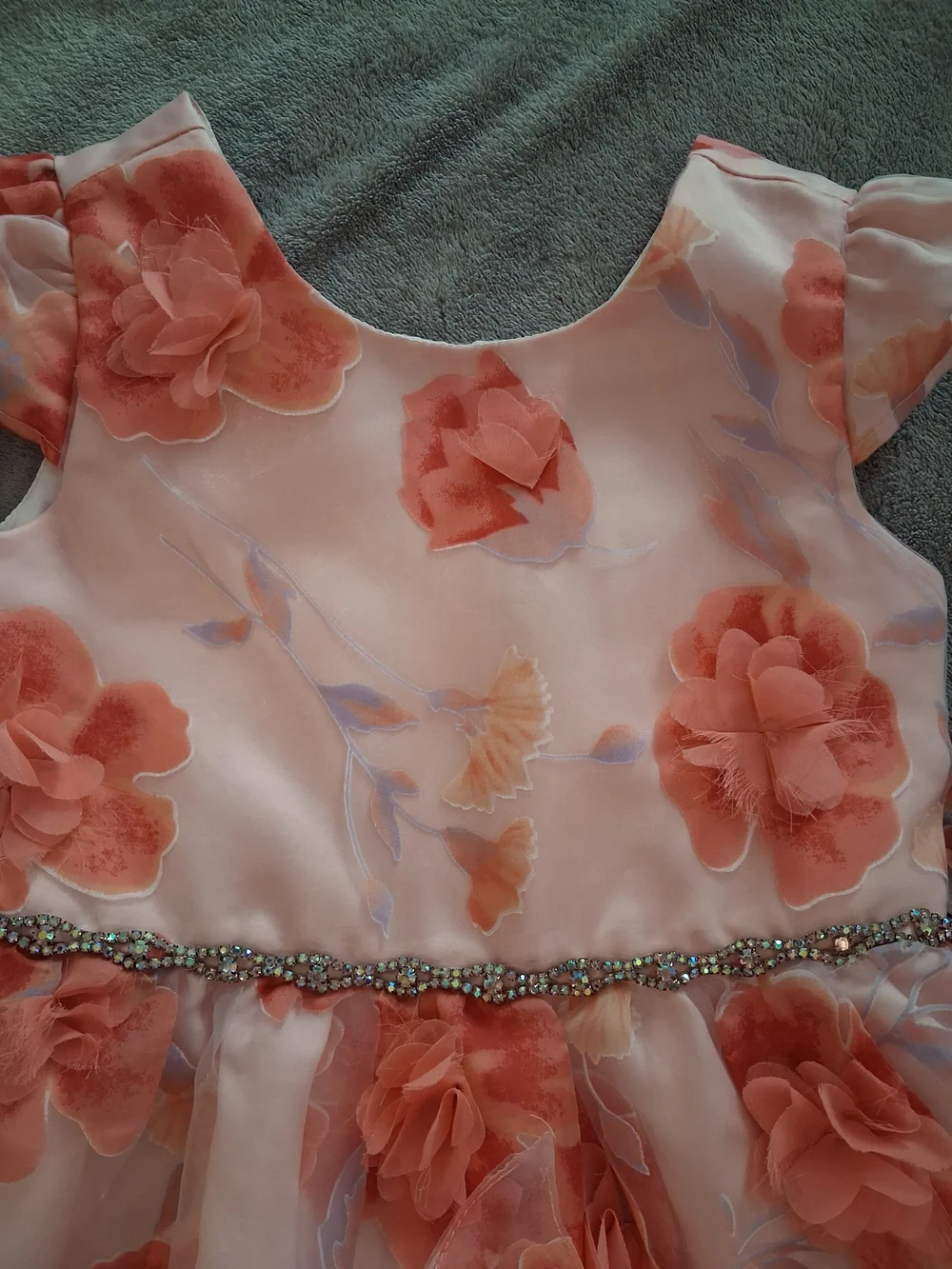 Rare Editions Coral Floral Organza Party Dress with Beaded Waist